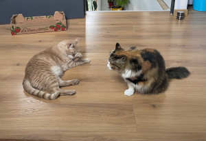 Photo de galerie - Visite au domicile 