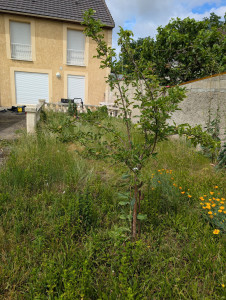 Photo de galerie - Avant le nettoyage 