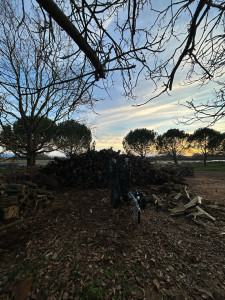 Photo de galerie - Coupe bois de chauffage ainsi que fendu 