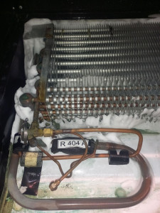 Photo de galerie - Prise en glace 