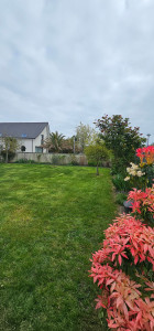 Photo de galerie - Remise en état jardin