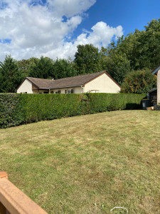 Photo de galerie - Taille complète d’une haie