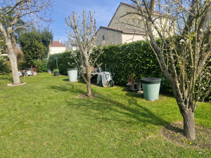 Photo de galerie - Tonte de jardin