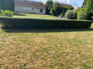 Photo de galerie - Haie parfaitement droite, jardin propre et bien entretenu, prêt à profiter. 