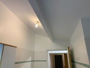 Photo de galerie - Lessivage du plafond remplie de moisissure puis application de peinture spécial 