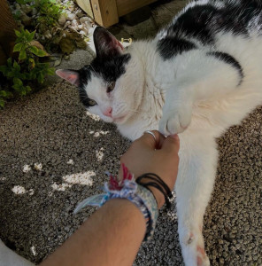 Photo de galerie - Bouboune ?