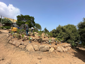 Photo de galerie - Paysagiste - Aménagement du jardin