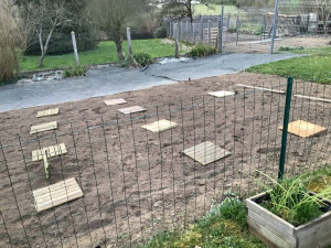 Photo de galerie - Passage du debroussailleur création d'un potager 