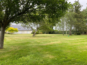 Photo de galerie - Tonte de pelouse - Débroussaillage