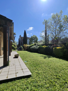 Photo de galerie - Tonte de pelouse 