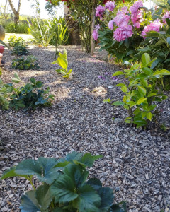 Photo de galerie - Paillis en copeaux de bois naturel pour un joli massif fleuri ?