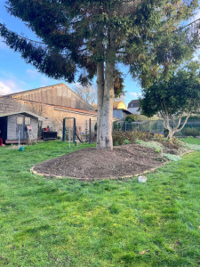 Photo de galerie - Paysagiste - Aménagement du jardin