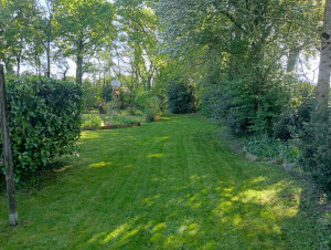 Photo de galerie - Tonte en mulching, gain de temps ✌️et moins de fatigue. Mais à faire tous les 15 jours pour un résultat propre et sans bavure.