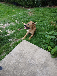 Photo de galerie - Une petite pause ! 