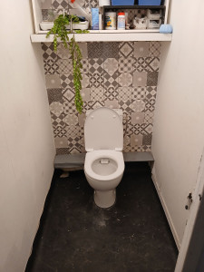 Photo de galerie - Pose toilette standard 