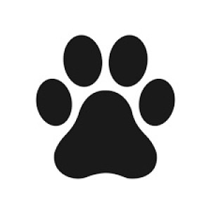 Photo de galerie - Garde d’animaux à domicile ou en pension