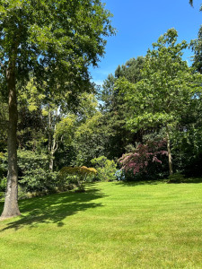 Photo de galerie - Tonte et débroussaillage d’une pelouse 