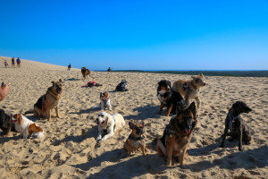 Photo de galerie - Randonnée avec les copains 