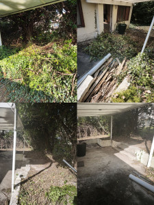 Photo de galerie - Taille de haie 
