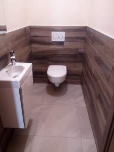 Photo de galerie - Habille en carrelage 20x120cm des murs d'un wc suspendu, + sol 60x60cm dans un pavillon neuf