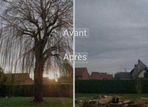 Photo de galerie - Jardinier