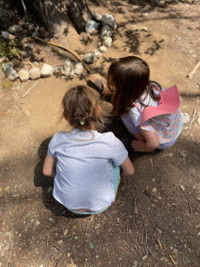 Photo de galerie - Promenade en forêt 
