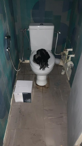 Photo de galerie - Pose de WC avec douchettes intégré 