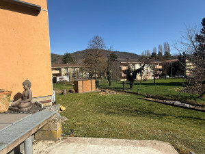 Photo de galerie - Abattage par démontage 