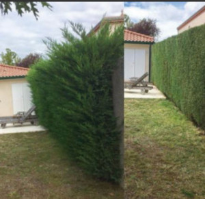 Photo de galerie - Travail, sérieux et propre