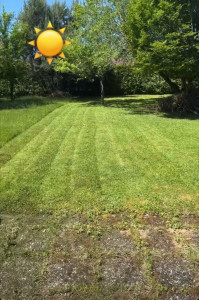 Photo de galerie - Avant/après sur ce joli jardin 
