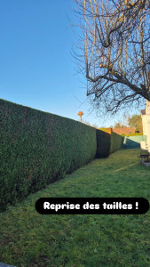 Photo de galerie - Paysagiste - Aménagement du jardin