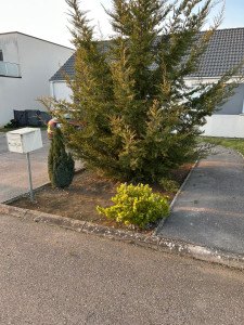 Photo de galerie - Entretien d’extérieur - APRÈS 