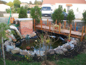 Photo de galerie - Terrassement - Assainissement