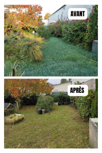 Photo de galerie - Débroussaillage 