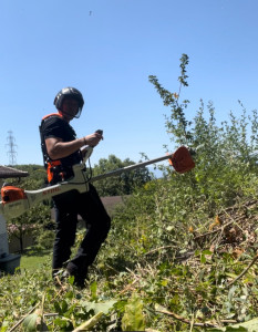 Photo de galerie - Débrousaillage 
