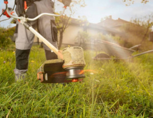 Photo de galerie - Entretien de jardin 
