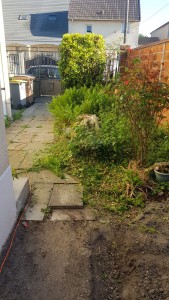 Photo de galerie - Paysagiste - Aménagement du jardin