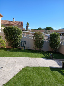Photo de galerie - Vue des trois arbustes après leur taille. 