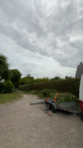 Photo de galerie - Taille de haies et d'arbustes