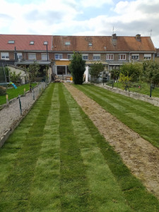 Photo de galerie - Paysagiste - Aménagement du jardin