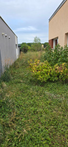 Photo de galerie - Tonte de pelouse - Débroussaillage