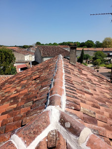 Photo de galerie - Regresmen du faitage dip petenche peinture d'étanchéité spécial tuile 