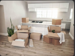 Photo de galerie - Déménageur motivé et rigoureux, habitué au port de charges lourdes et au travail en équipe. Sérieux, ponctuel et respectueux du matériel. Non véhiculé, je reste disponible pour toute mission avec prise en charge du transport