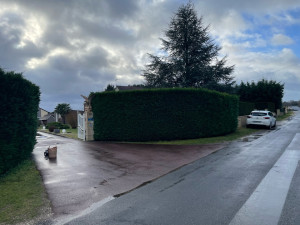 Photo de galerie - Taille de haie 