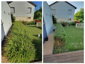 Photo de galerie - Taille d’une haie de buis
