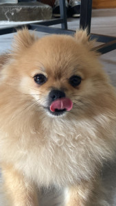 Photo de galerie - ?