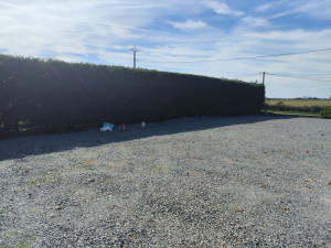 Photo de galerie - Taille de haies et d'arbustes