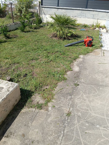 Photo de galerie - Après tonte est plantation 