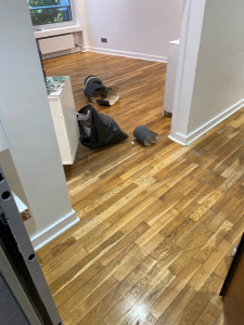 Photo de galerie - Pose de parquet - Revêtement de sol