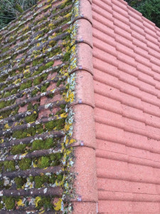 Photo de galerie - Couverture - Toiture